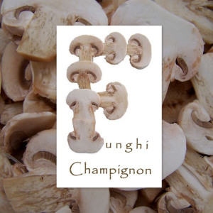 Funghi Champignon
